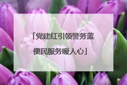 党建红引领警务蓝 便民服务暖人心