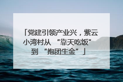 党建引领产业兴，紫云小湾村从 “靠天吃饭” 到 “抱团生金”