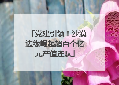 党建引领！沙漠边缘崛起超百个亿元产值连队