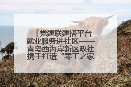 党建联建搭平台 就业服务进社区——青岛西海岸新区政社携手打造“零工之家”就业服务新阵地