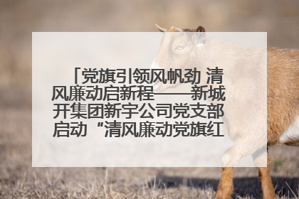 党旗引领风帆劲 清风廉动启新程——新城开集团新宇公司党支部启动“清风廉动党旗红”系列活动
