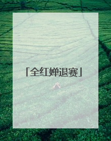 全红婵退赛