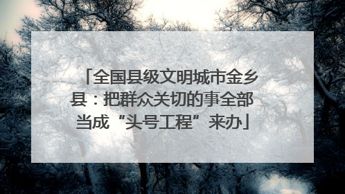 全国县级文明城市金乡县：把群众关切的事全部当成“头号工程”来办