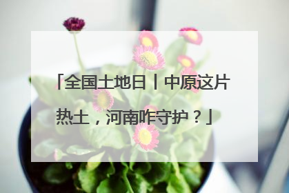 全国土地日丨中原这片热土，河南咋守护？
