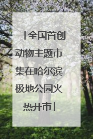 全国首创动物主题市集在哈尔滨极地公园火热开市