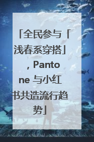 全民参与「浅春系穿搭」，Pantone 与小红书共造流行趋势