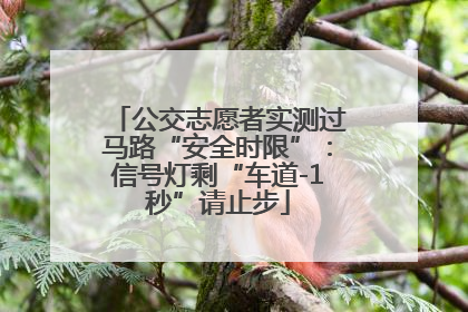 公交志愿者实测过马路“安全时限”：信号灯剩“车道-1秒”请止步