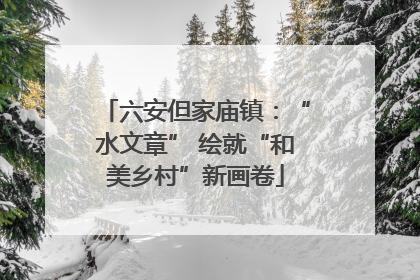 六安但家庙镇：“水文章” 绘就“和美乡村”新画卷