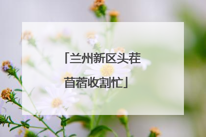 兰州新区头茬苜蓿收割忙