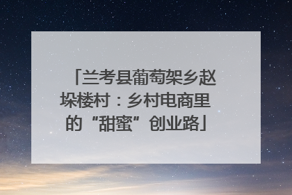 兰考县葡萄架乡赵垛楼村：乡村电商里的“甜蜜”创业路