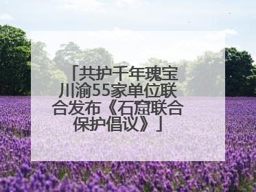 共护千年瑰宝 川渝55家单位联合发布《石窟联合保护倡议》