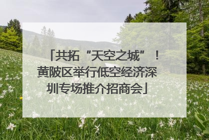 共拓“天空之城”！黄陂区举行低空经济深圳专场推介招商会