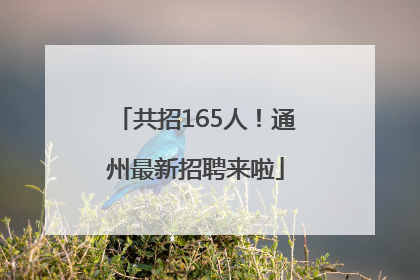 共招165人！通州最新招聘来啦