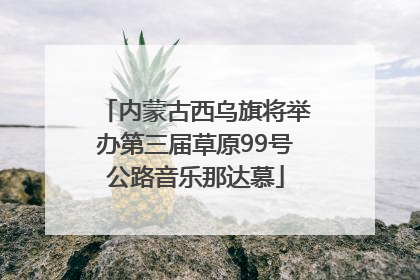 内蒙古西乌旗将举办第三届草原99号公路音乐那达慕