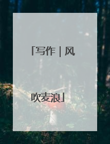 写作｜风吹麦浪