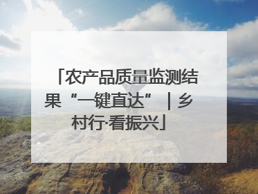 农产品质量监测结果“一键直达”｜乡村行·看振兴