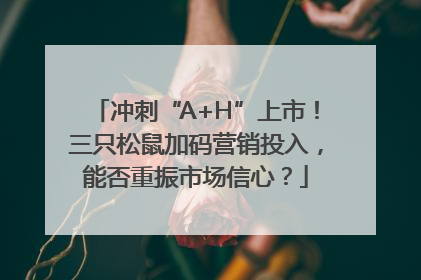 冲刺“A+H”上市！三只松鼠加码营销投入，能否重振市场信心？