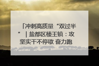 冲刺高质量“双过半”｜盐都区楼王镇：攻坚实干不停歇 奋力跑赢“上半场”