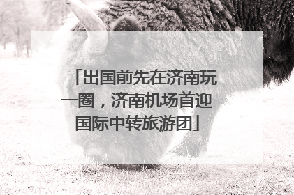 出国前先在济南玩一圈，济南机场首迎国际中转旅游团