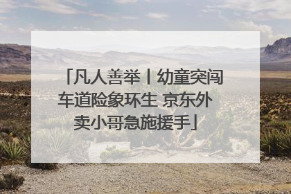 凡人善举丨幼童突闯车道险象环生 京东外卖小哥急施援手