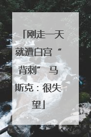 刚走一天就遭白宫“背刺” 马斯克：很失望