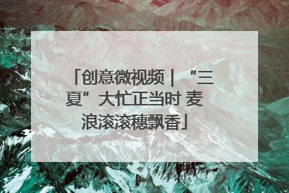 创意微视频｜“三夏”大忙正当时 麦浪滚滚穗飘香