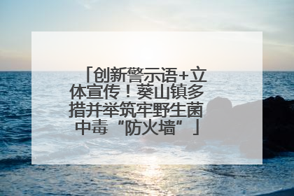 创新警示语+立体宣传！葵山镇多措并举筑牢野生菌中毒“防火墙”