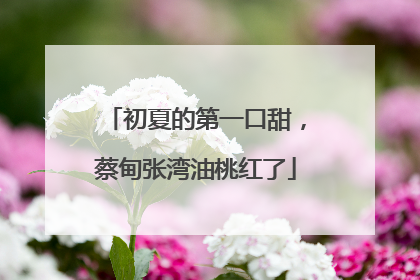 初夏的第一口甜，蔡甸张湾油桃红了