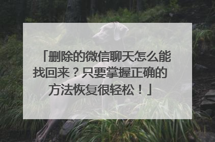 删除的微信聊天怎么能找回来？只要掌握正确的方法恢复很轻松！
