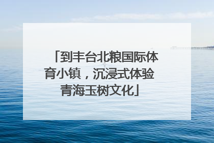 到丰台北粮国际体育小镇，沉浸式体验青海玉树文化