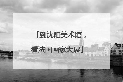 到沈阳美术馆，看法国画家大展