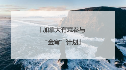 加拿大有意参与“金穹”计划