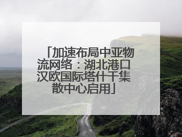 加速布局中亚物流网络：湖北港口汉欧国际塔什干集散中心启用
