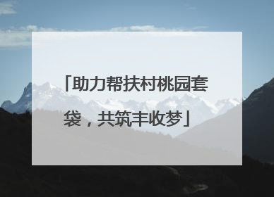 助力帮扶村桃园套袋，共筑丰收梦