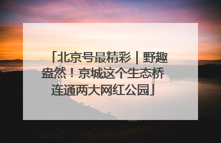 北京号最精彩｜野趣盎然！京城这个生态桥连通两大网红公园