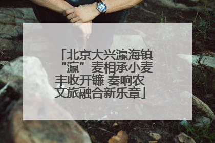 北京大兴瀛海镇“瀛”麦相承小麦丰收开镰 奏响农文旅融合新乐章
