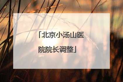 北京小汤山医院院长调整