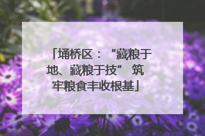 埇桥区：“藏粮于地、藏粮于技” 筑牢粮食丰收根基