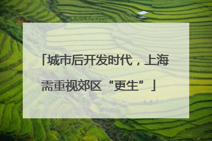 城市后开发时代，上海需重视郊区“更生”