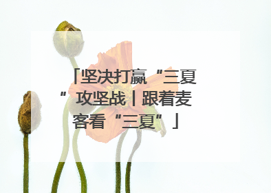 坚决打赢“三夏”攻坚战丨跟着麦客看“三夏”