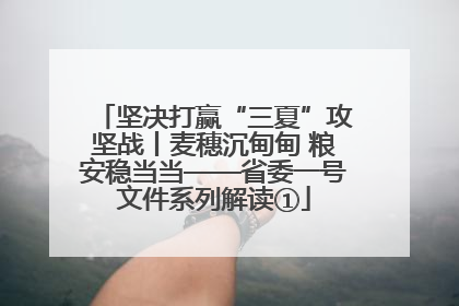 坚决打赢“三夏”攻坚战丨麦穗沉甸甸 粮安稳当当——省委一号文件系列解读①