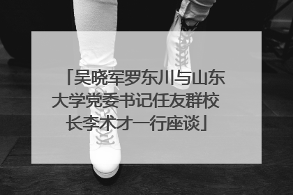 吴晓军罗东川与山东大学党委书记任友群校长李术才一行座谈