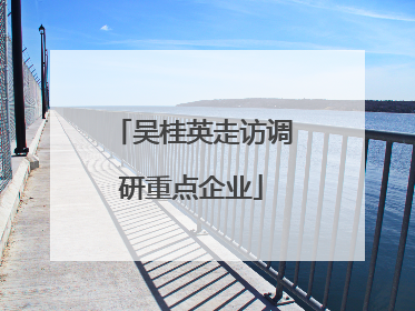 吴桂英走访调研重点企业