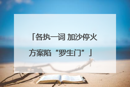 各执一词 加沙停火方案陷“罗生门”