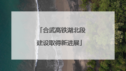 合武高铁湖北段建设取得新进展