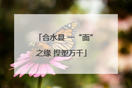 合水县 一“面”之缘 捏塑万千