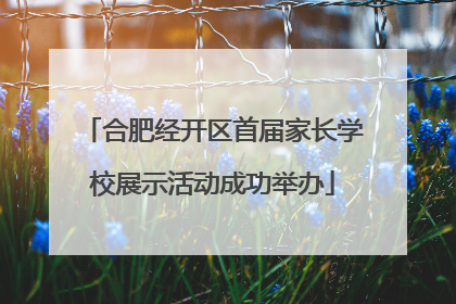 合肥经开区首届家长学校展示活动成功举办