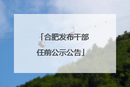 合肥发布干部任前公示公告