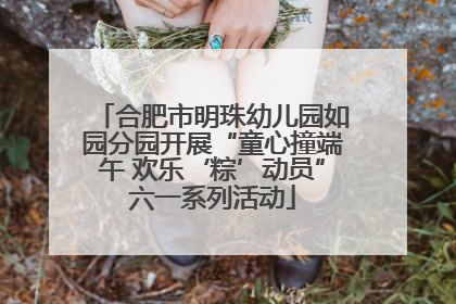 合肥市明珠幼儿园如园分园开展“童心撞端午 欢乐‘粽’动员”六一系列活动