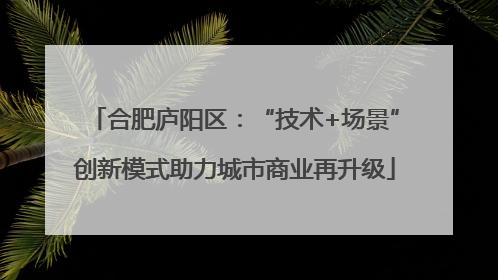 合肥庐阳区：“技术+场景”创新模式助力城市商业再升级